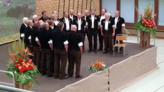 Jodlerklub Wattenwil Jodlerfest Steffisburg 2016 [upl. by Amol]