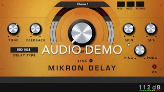 Mikron Delay Demo [upl. by Gem]