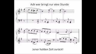 Robert Schumann Erster Verlust Album für die Jugend Nr 16 [upl. by Janna]