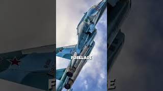 Why Do Russian Fighter Planes Look Strange russianjets trending 2025 [upl. by Akinej119]