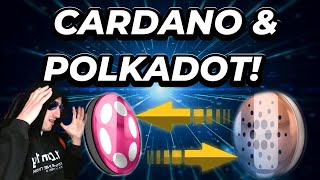 CARDANO on POLKADOT Angry Polkadot Degen says WHAT [upl. by Ahsinhoj794]