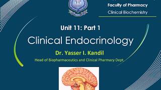 19 Clinical Endocrinology Part 1 by Dr Yasser Kandil [upl. by Happy]