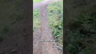 Ballo woods MTB 🙌 Full video on my channel mtb scotland singletrack mountainbikeroutes [upl. by Blake195]