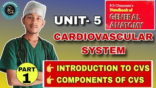 👉🔥CHAPTER 5 CARDIOVASCULAR SYSTEM  BD CHAURASIA GENERAL ANATOMY  COMPONENTS OF CVS ANATOMY [upl. by Eudoxia636]