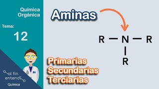 Nomenclatura y Clasificación  Ejemplos y Ejercicios [upl. by Jareb]