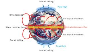 Global circulation [upl. by Bartholomew]