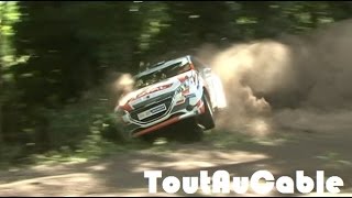 Rallye Terre de Langres 2015  Crash amp Show by ToutAuCable HD [upl. by Enetsuj]