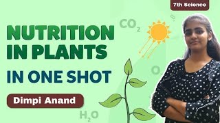 NUTRITION IN PLANTS  CLASS 7  ONE SHOT [upl. by Julide]