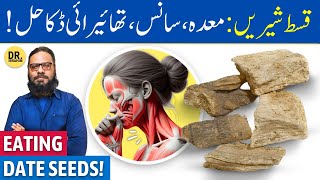 QusteShireen Ke FaydeIstemal  Costus Root Benefits  Dr Ibrahim [upl. by Norraa849]