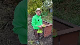 Hochbeet aus alten Balkonbrettern👍garten tipps gardening nachhaltigkeit video [upl. by Divine232]