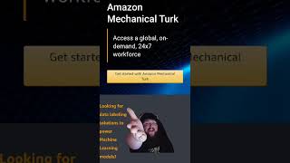 Amazon Mechanical Turk has seen better days [upl. by Eelyak]