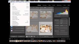 How to remove watermark presets LIGHT ROOM  Windows Users [upl. by Attiuqihc121]