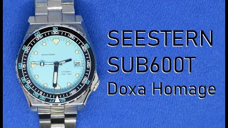 Seestern SUB600T Review [upl. by Bonni535]