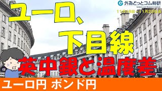 週刊為替レポートハロンズ・ダイジェスト（ユーロ円、ポンド円）11月18日～11月22日週 [upl. by Jessee]