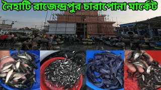 রাজেন্দ্রপুর চারাপোনা মার্কেট  Naihati Charapona Market  Naihati Rajendrapur Charapona Market [upl. by Isawk]