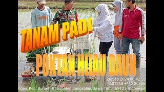 Tanam Padi dengan Transplanter di Poktan Hijau Daun Desa Pangolangan [upl. by Eislrahc208]