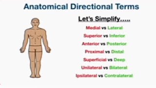 Anatomical Planes and Directional Terminology [upl. by Verdha]