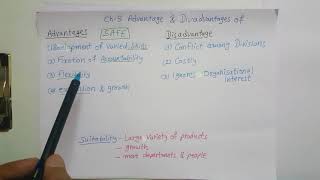 Ch 5 Divisional structure advantages and disadvantages [upl. by Otiv]