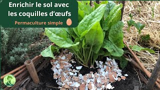 ♻️ Coquilles dœufs et offrez un boost à votre permaculture DIY  🥚🥚🥚 [upl. by Nosydam217]