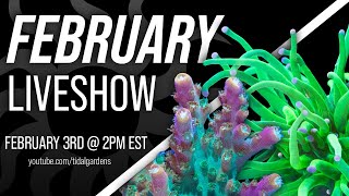 Tidal Gardens February 2024 Live Show [upl. by Jemina]