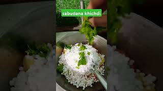 sabudanakhichdifarali specialekadasirecipe new reel [upl. by Chaworth]