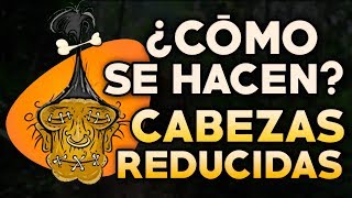 CÓMO SE HACEN LAS CABEZAS REDUCIDAS [upl. by Nataline103]