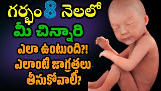 Baby Development in 8 Months of Pregnancy momgeethastips YouTube babydevelopment [upl. by Snook447]