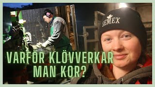 PEDIKYR för kossorna  Vlogg 82 [upl. by Halac]