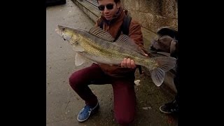 Streetfishing Paris Sandre et Silure dHiver [upl. by Antoni355]