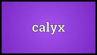 Calyx Meaning [upl. by Richter]