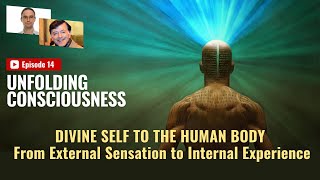 UC 14  Divine Self to the Human Body – From External Sensation to Internal Experience [upl. by Holli]