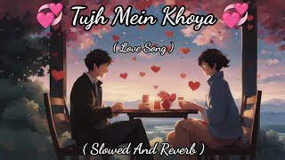 Tujh Mein Khoya  Hindi Song  Lofi Song  Slowed And Reverb [upl. by Rehpotsyrhc]