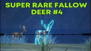 Super Rare Fallow Deer 4 Call of the Wild theHunter [upl. by Alah]