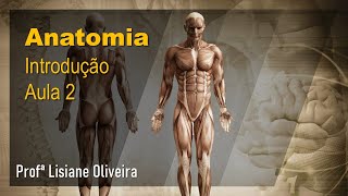 AS PARTES DO CORPO HUMANO  RESUMO ESCOLAR [upl. by Yllen466]