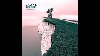 Fabriclive 76  Calyx amp Teebee 2014 Full Mix Album [upl. by Orvie]