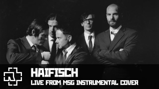 Rammstein  Haifisch LIVE from MSG instrumental cover [upl. by Pell]