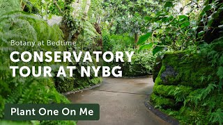 New York Botanical Garden CONSERVATORY Tour — Ep 356 [upl. by Saxon]