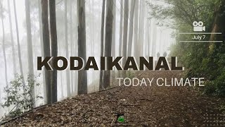 Kodaikanal weather suitable for travelling now  Kodaikanal today climate I kodaikanal tourism [upl. by Kluge]