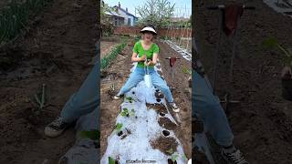 It is Very Easy to Plant Seedlings with This Tool  Useful Seedlings Planting Tool shorts tools [upl. by Analah]