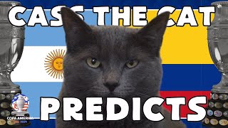 COPA AMERICA 2024 FINAL PREDICTION  ARGENTINA vs COLOMBIA CASS THE CAT [upl. by Auhsaj]