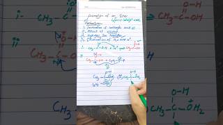 Mechanism of formation of ester organic chemistry class 12 [upl. by Anna-Diane358]