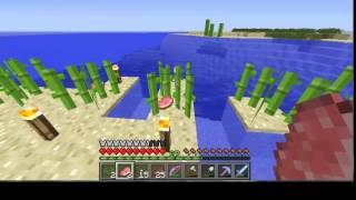 ITEM DUPLICATION GLITCH Singleplayer amp Multiplayer ALL Minecraft 19 [upl. by Cuttie]