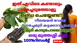 100Natural Hair Dye ഡൈ ചെയ്യേണ്ട എത്ര നരച്ചമുടിയും കട്ടക്കാറുപ്പാക്കുംമുടി കാടുപോലെ വളരും [upl. by Kynthia]