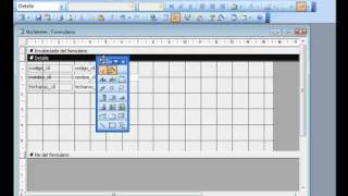 Access 2003 Insertar calendario en un formulario  wwwofimaticaparatorpescom [upl. by Asus]