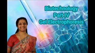 NEET Biotechnology Principles and Processes Part4 Gel Electrophoresis [upl. by Hermes]