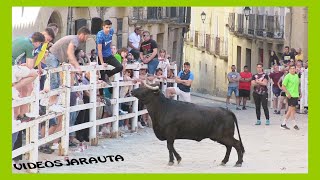 UNCASTILLO  ZARAGOZA  TARDE VACAS CALLE  DOMINGO 29 MAYO 2022  HNOSGRACIA BLASCO [upl. by Dnomra112]