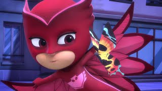 Best of Owlette  PJ Masks Official [upl. by Acimahs]