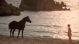 The Black Stallion 01 [upl. by Valerie]