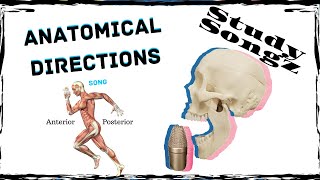 Anatomical Directions amp Terms Song  Re edited  Study Songz [upl. by Lubet]