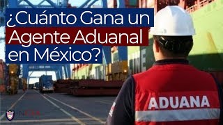 ¿Cuánto Gana un Agente Aduanal en México [upl. by Nicko]